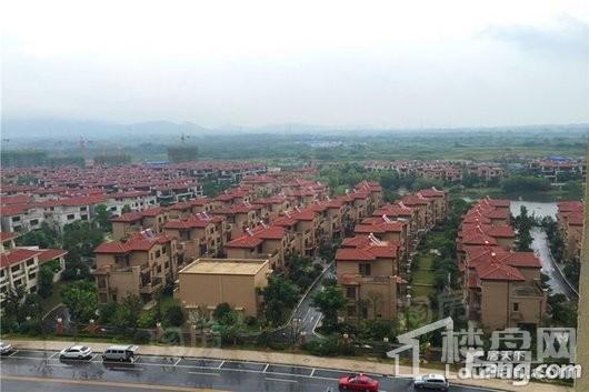 碧桂园凤凰城实景图