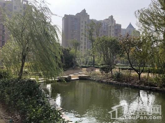 宜嘉湖庭花园实景图