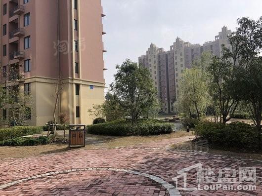 宜嘉湖庭花园实景图