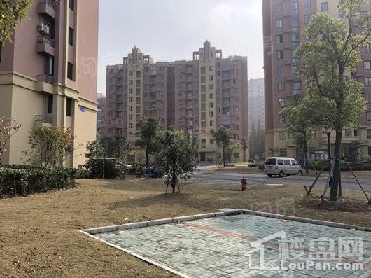 宜嘉湖庭花园实景图