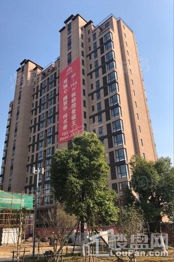 润城国际实景图