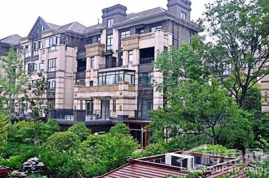 山林名墅实景图