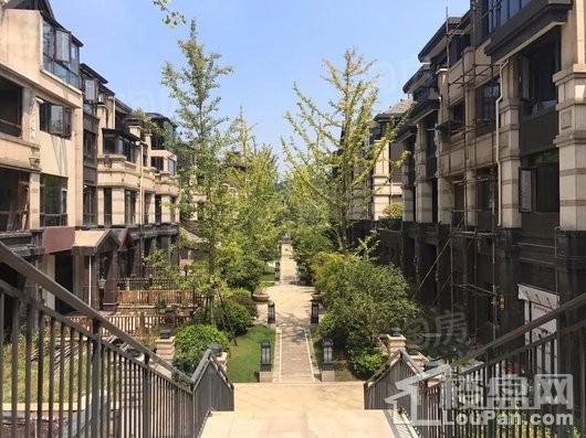 山林名墅实景图