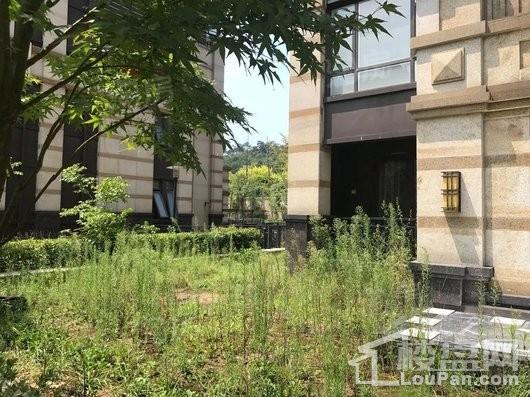 山林名墅实景图