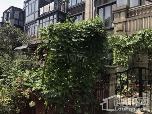 山林名墅实景图