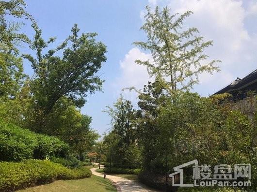 山林名墅实景图