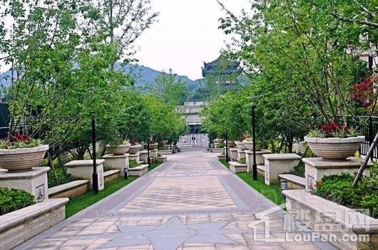 山林名墅实景图