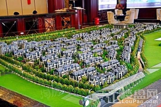 山林名墅实景图