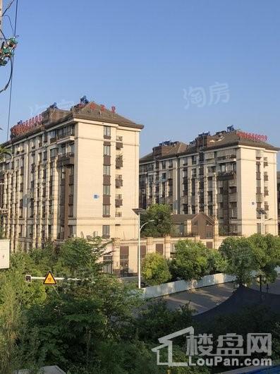 山林名墅实景图