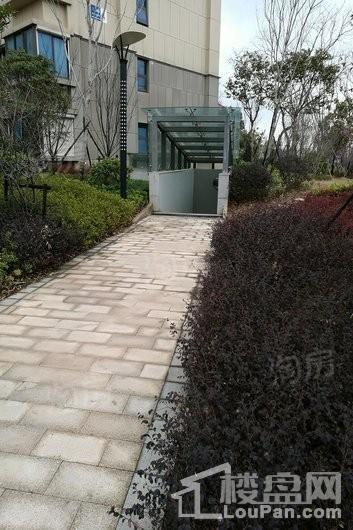 实景图