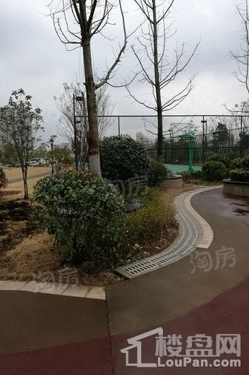 荔湾城实景图