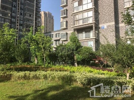 如意江南实景图