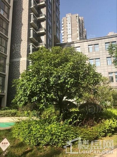 如意江南实景图