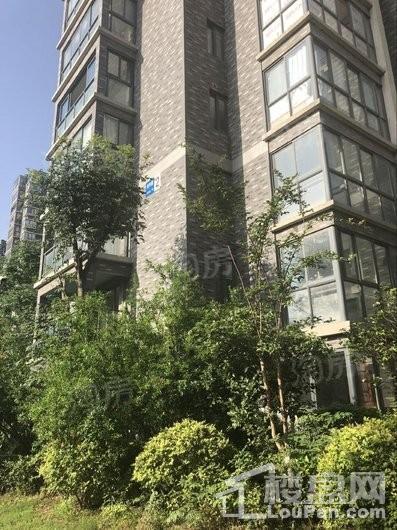 如意江南实景图