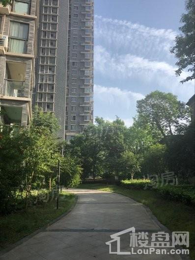 如意江南实景图