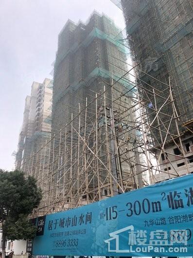 华府紫源实景图
