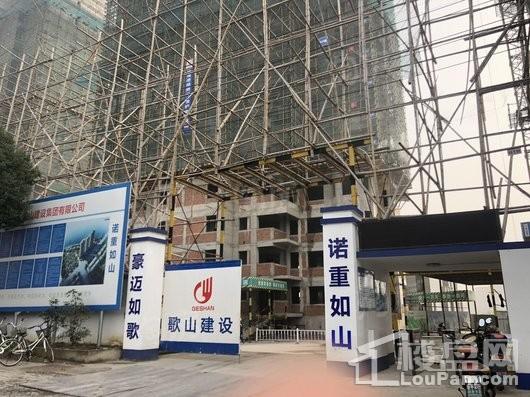 华府紫源实景图