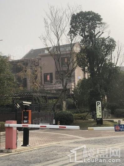华府紫源实景图