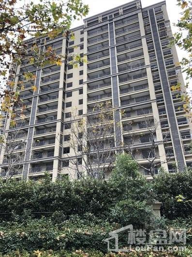 江山名洲·江山府实景图