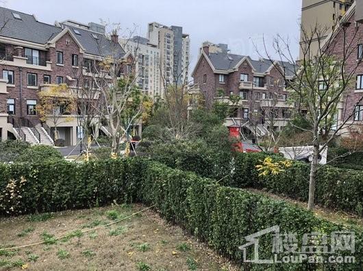 江山名洲·江山府实景图