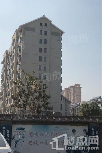 画意江南实景图