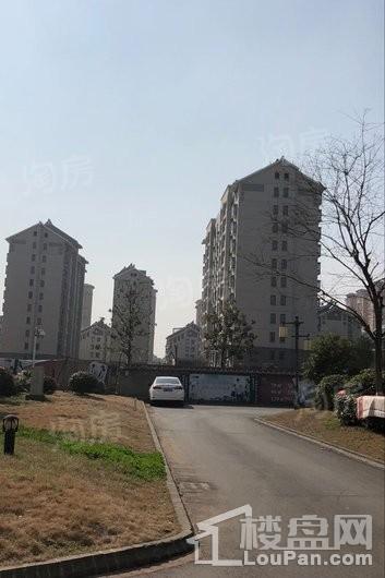 画意江南实景图