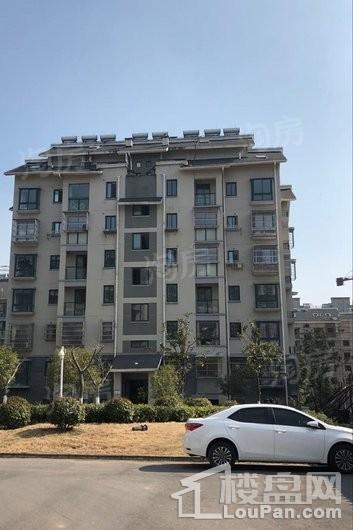 画意江南实景图