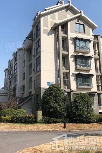 画意江南实景图