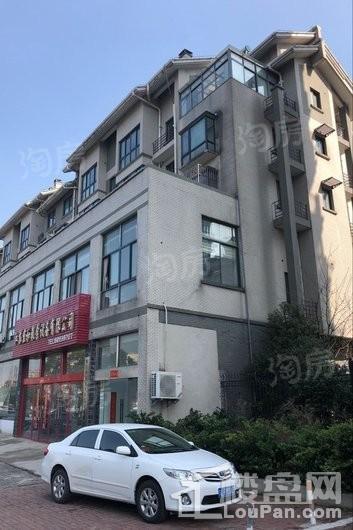 画意江南实景图