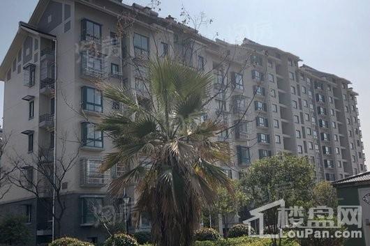 画意江南实景图