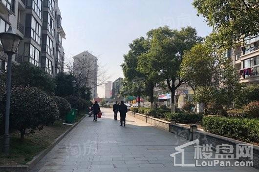 画意江南实景图