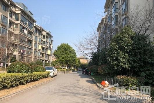 画意江南实景图