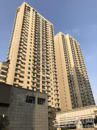 山泽园实景图