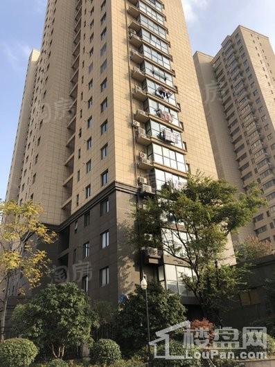 山泽园实景图