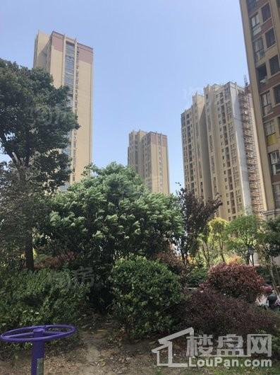 银湖花园实景图