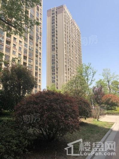 银湖花园实景图