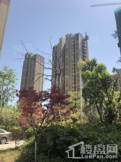 银湖花园实景图