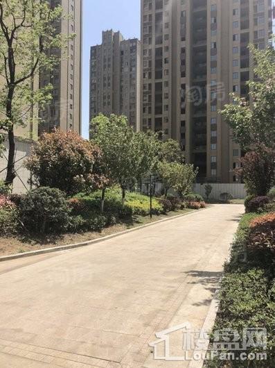 银湖花园实景图