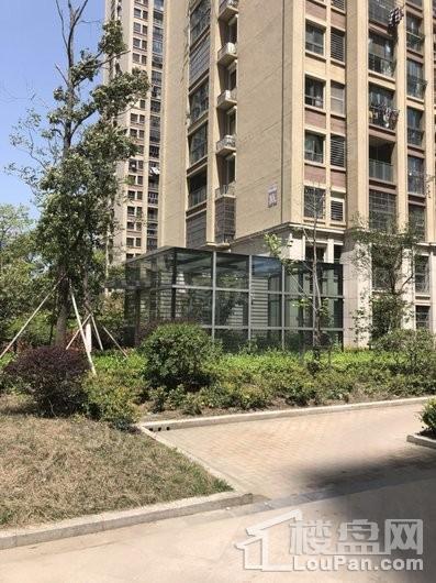 实景图