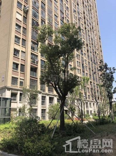 银湖花园实景图