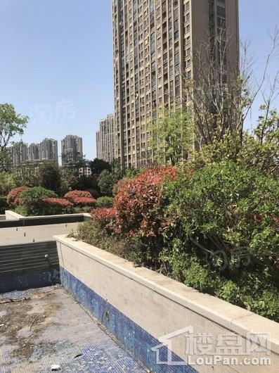银湖花园实景图