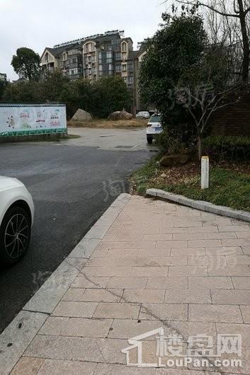 海德公园实景图