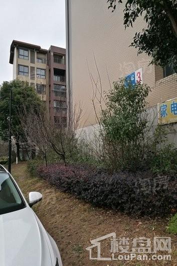 海德公园实景图