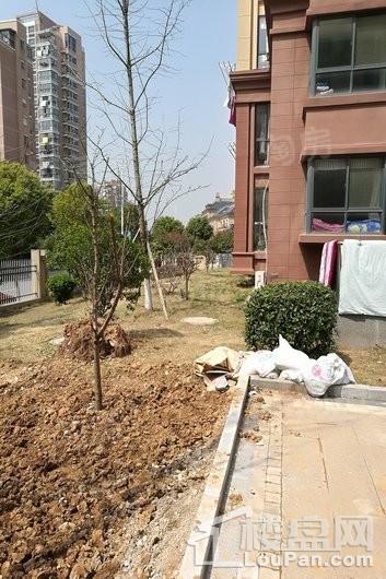 梦溪嘉苑实景图
