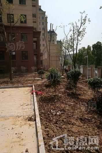 梦溪嘉苑实景图