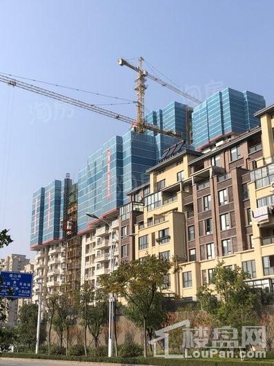 万科蓝山实景图
