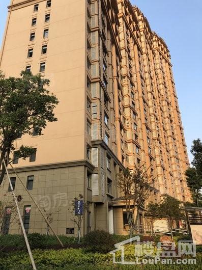 华鹏卢浮至尊实景图