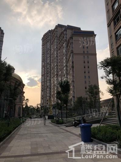 华鹏卢浮至尊实景图