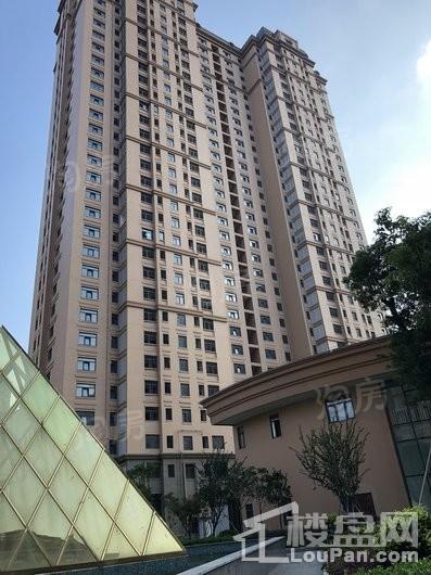 华鹏卢浮至尊实景图