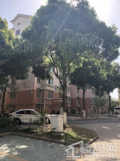 美林湾实景图